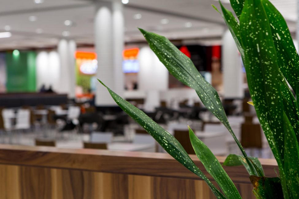 architecture photo, product, professionnal photographer Montreal, claude belanger, image solutions